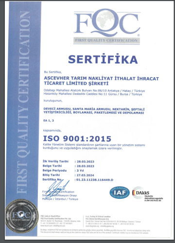 iso9001ascevher