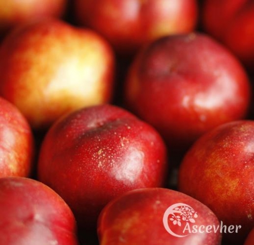 Nektarin - Ascevher